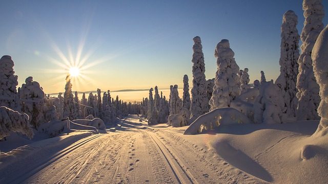 Verhuizen naar Finland