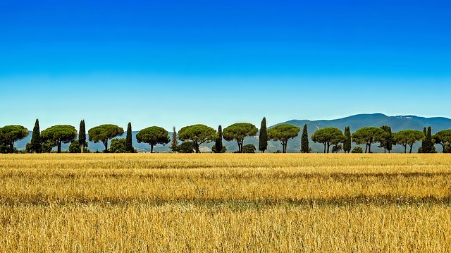 Verhuizen naar Italië